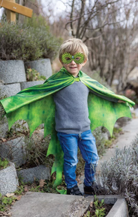 Ailes de dragon en tissu