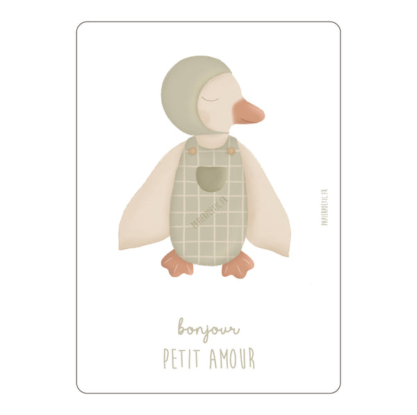 Carte/Card 