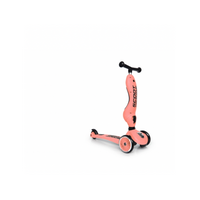 Porteur évolutif en trotinette HIGHWAYKICK 1 Scoot and ride- Corail